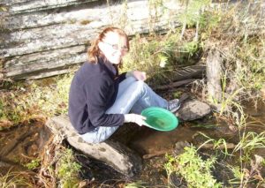 Золото Лапландии