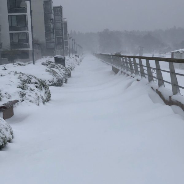 Новости Финляндии. Снегопад