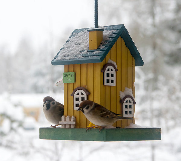 Прогноз: в Финляндии ожидаются крайне неприятные погодные условия