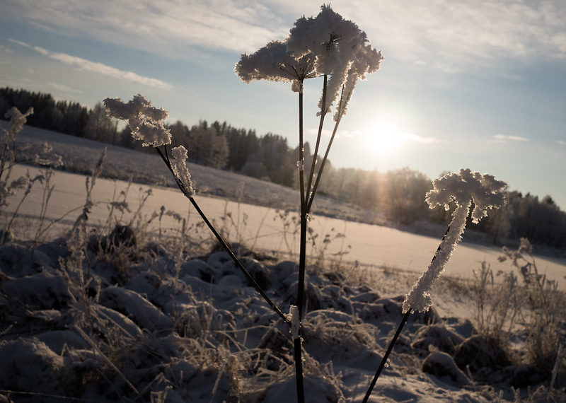 Почему мороз ощущается сильнее, чем показывает термометр? Объясняют синоптики