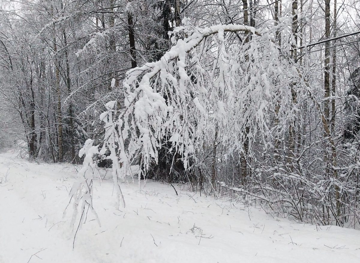 К концу недели Финляндию накроет очередной снежный фронт