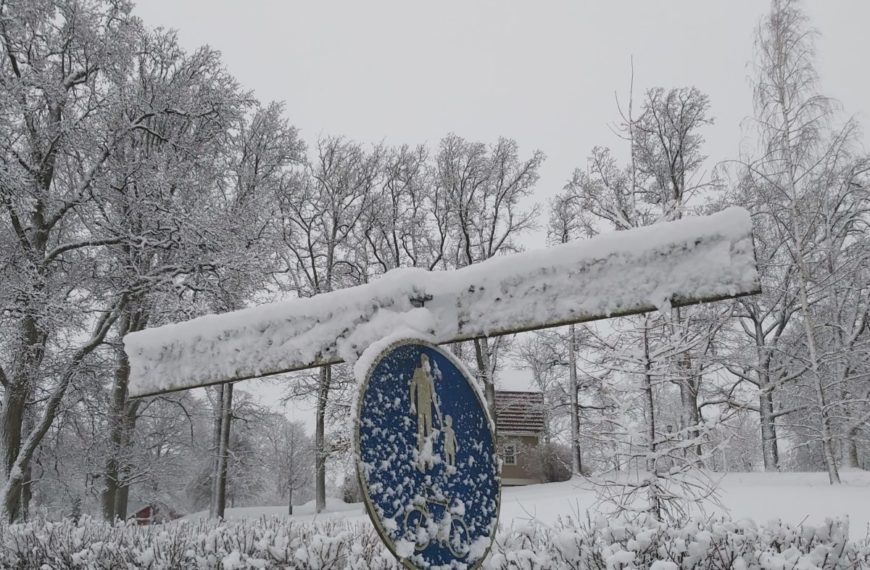 Прогноз: вся Финляндия окажется под снежным покровом