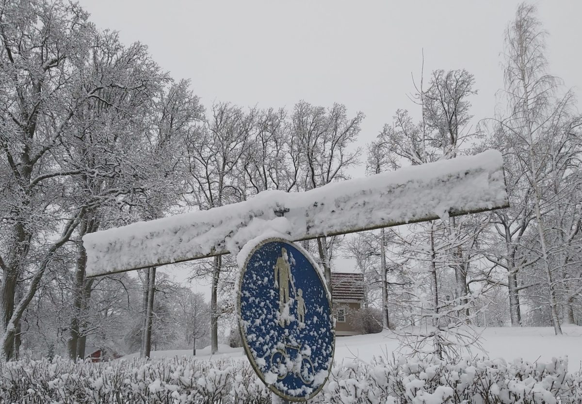 Read more about the article Февральские метели: за выходные местами выпадет до 30 см снега