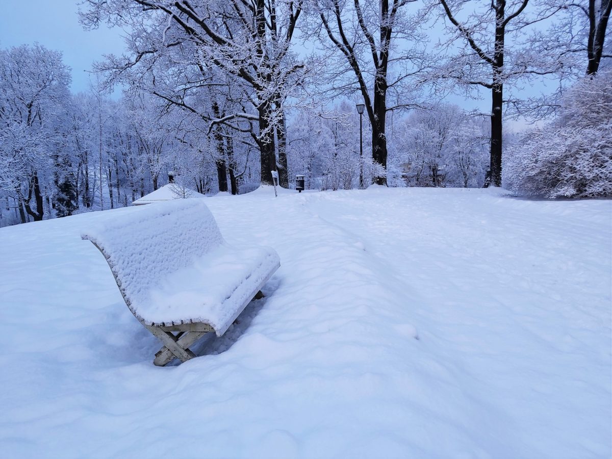 Read more about the article Прогноз погоды: снежные заносы, гололедица и скачки температуры