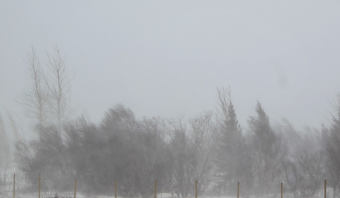 Read more about the article Сегодня Финляндию накроет зимний шторм