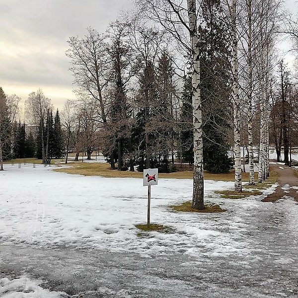 Весна набирает обороты: синоптики обещают аномальное тепло и первые паводки