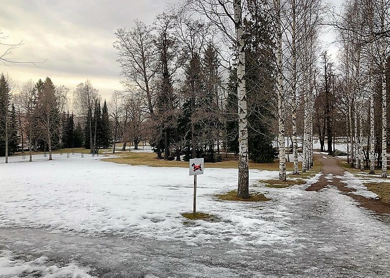 Весна набирает обороты: синоптики обещают аномальное тепло и первые паводки