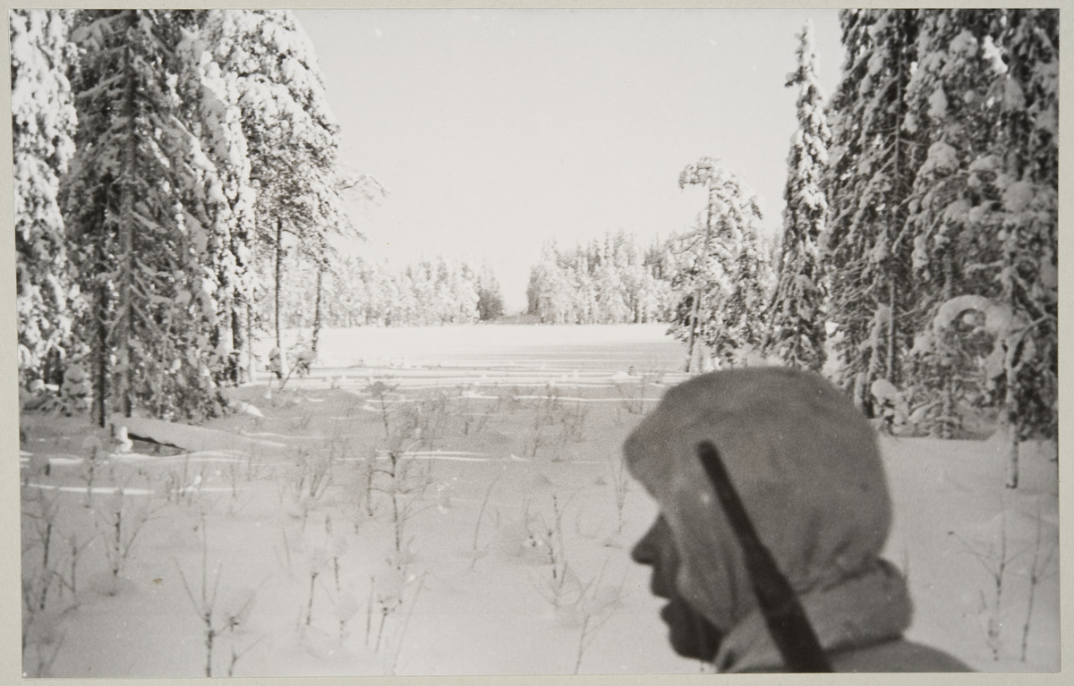 Подробнее о статье Финляндия: 83 года с начала Зимней войны