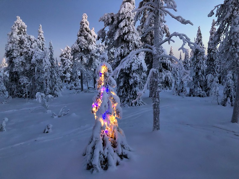 Подробнее о статье Прогноз: в этом году жителей всех регионов ждет настоящее снежное Рождество