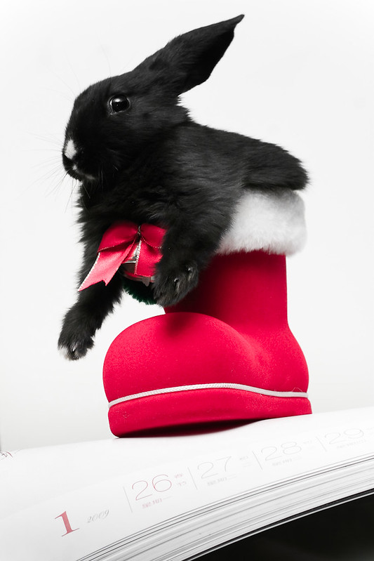 Подробнее о статье Новогодний гардероб: в чем встретить год черного водяного кролика