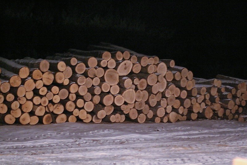 Read more about the article Рынок лесоматериалов сократился на 12 процентов, из-за остановки экспорта древесины из России цены выросли