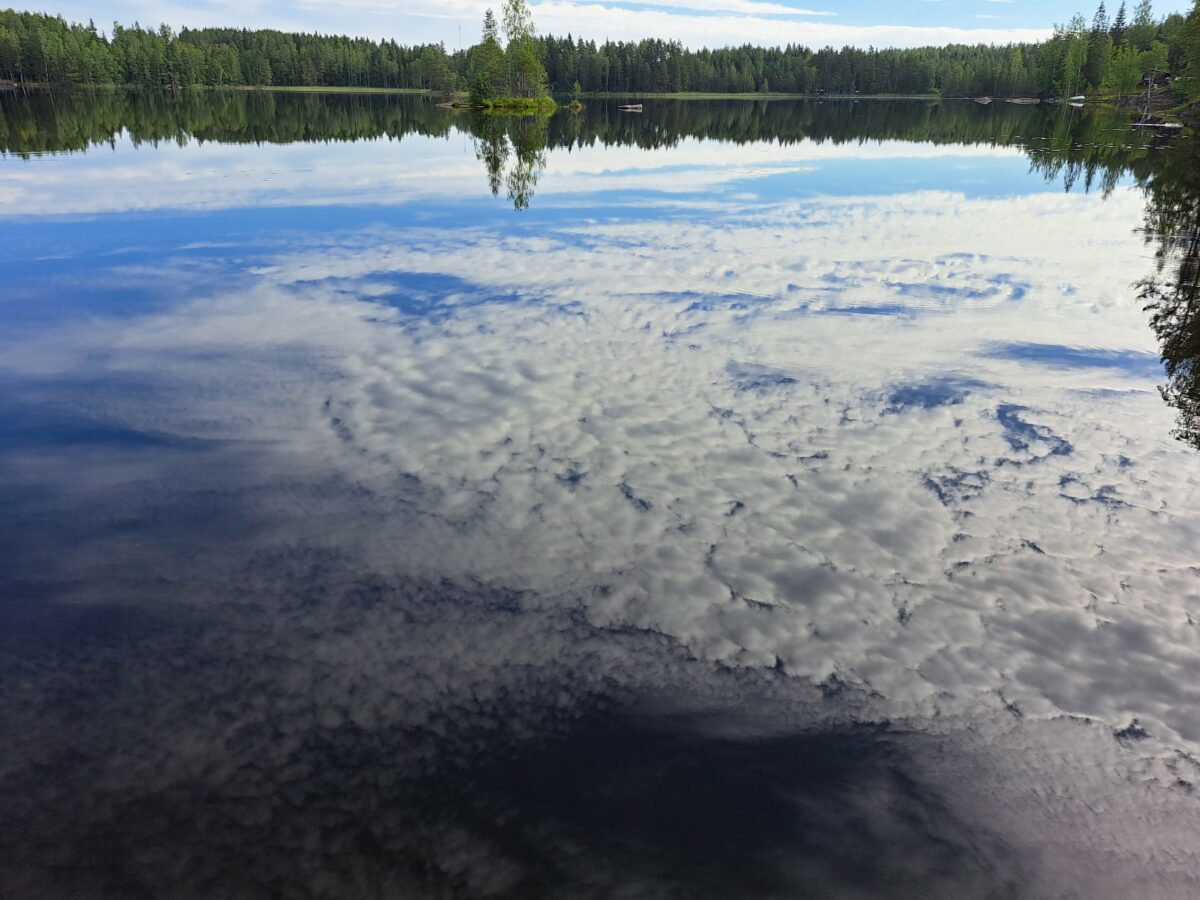 Подробнее о статье Финляндия празднует День Природы