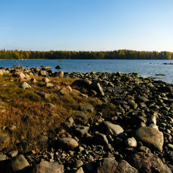 В Финляндии резкое потепление: после дождей — солнце и до +15 градусов