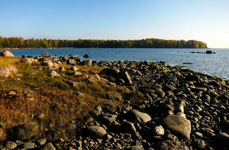 В Финляндии резкое потепление: после дождей — солнце и до +15 градусов