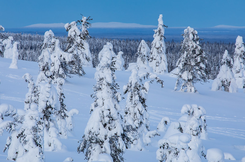 Подробнее о статье Финляндия остается в цепких объятиях зимы