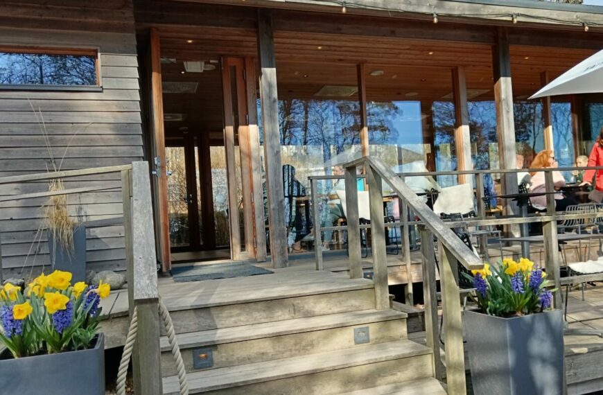 Обед по понедельникам. Кафе Paseo